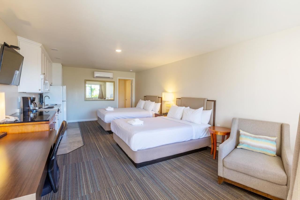 Moonlight Beach Motel 엔시니타스 외부 사진